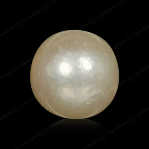 South Sea Pearl - 3.81 Carats