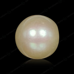 South Sea Pearl - 3.97 Carats