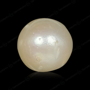 South Sea Pearl - 6.59 Carats