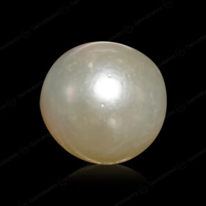 South Sea Pearl - 3.47 Carats