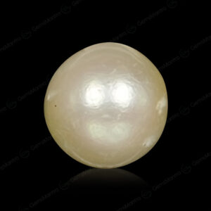 South Sea Pearl - 6.87 Carats