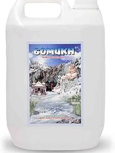 Gomukh Gangajal (5L)
