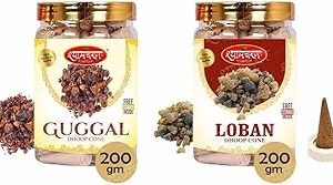 Shyam Charan Dry Dhoop Cones (280 Units)