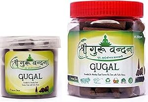 Shree Guru Vandana Guggul Dhoop Cones Box