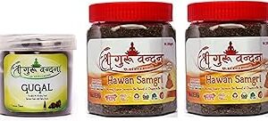 SGV Guggal Box & Hawan Samagri (200g)
