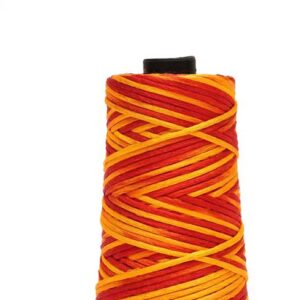 Damodaram Raksha Sutra Thread