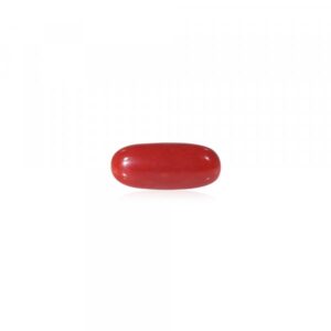 Red Coral - 10.89 Carat