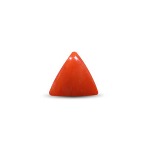 Red Coral - 19.72 Carat