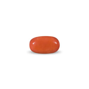 Red Coral - 10.45 Carat