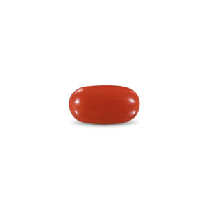 Red Coral - 10.45 Carat