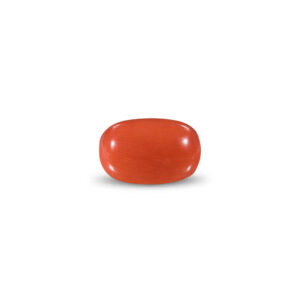 Red Coral - 10.69 Carat