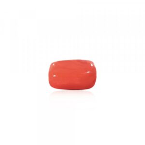 Red Coral - 11.80 Carat