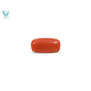 Red Coral - 12.17 Carat