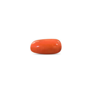 Red Coral - 12.32 Carat