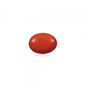 Red Coral - 12.34 Carat