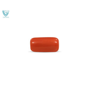 Red Coral - 12.82 Carat