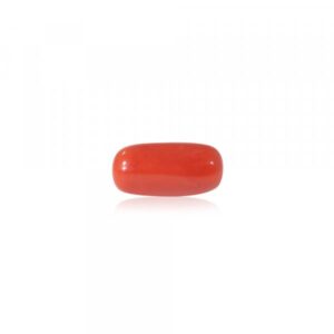 Red Coral - 13.45 Carat