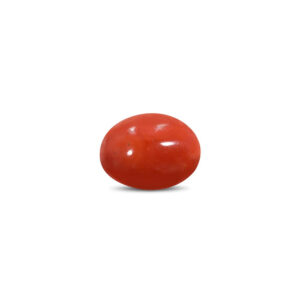 Red Coral - 13.63 Carat