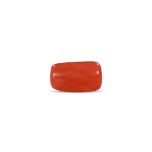 Red Coral - 20.29 Carat