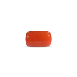 Red Coral - 2.08 Carat