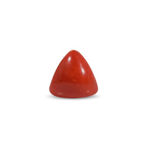 Red Coral - 22.38 Carat