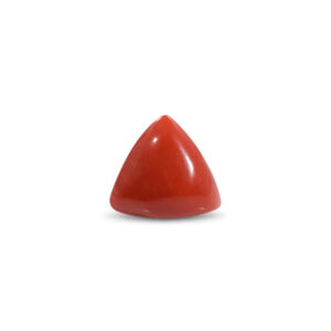 Red Coral - 22.53 Carat