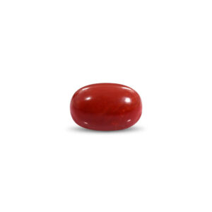 Red Coral - 22.63 Carat