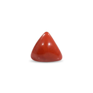 Red Coral - 23.95 Carat