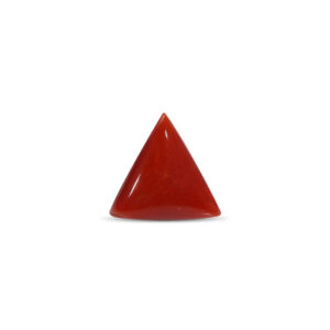 Red Coral - 4.2 Carat