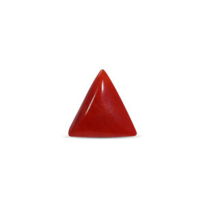 Red Coral - 4.22 Carat