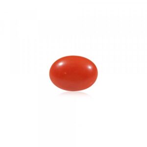 Red Coral - 4.68 Carat