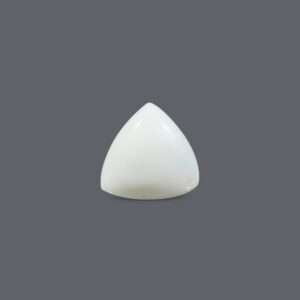 White Coral - 20.57 Carat