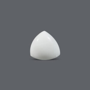 White Coral - 12.83 Carat