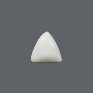 White Coral - 15.09 Carat