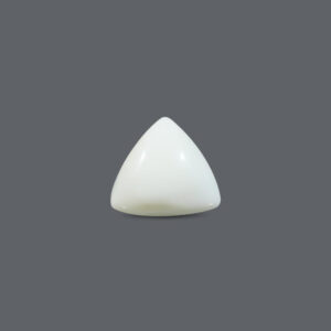 White Coral - 18.2 Carat