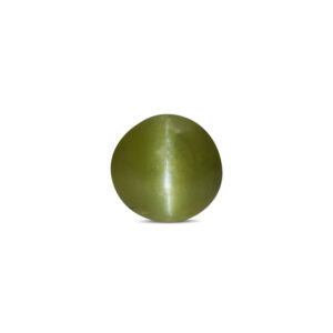 Cat's Eye - 2.85 Carat