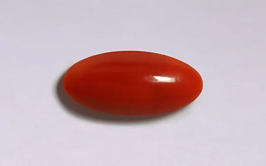 Red Coral - 3.30 Carats