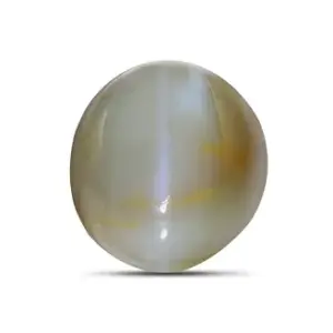 Cat's Eye - 4.04 Carats