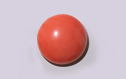 Red Coral - 3.79 Carats