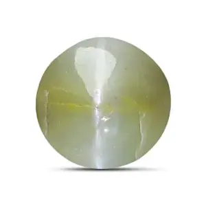 Cat's Eye - 4.29 Carats
