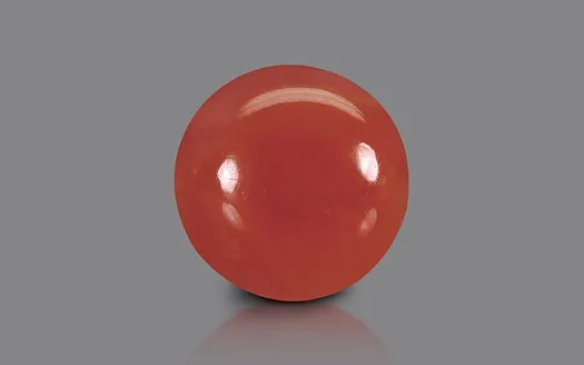 Red Coral - 3.23 Carats