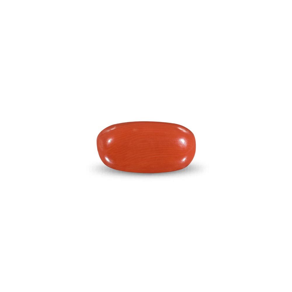 Red Coral - 11 Carat