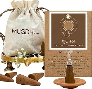 SGV Guggal Box & Chandan-Guggal Sticks Combo